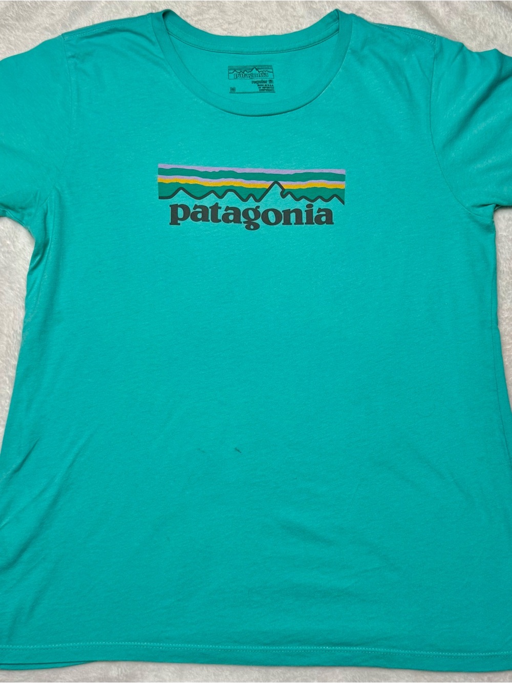 Patagonia Turquoise Short Sleeve Logo Tee with Multicolor Accent